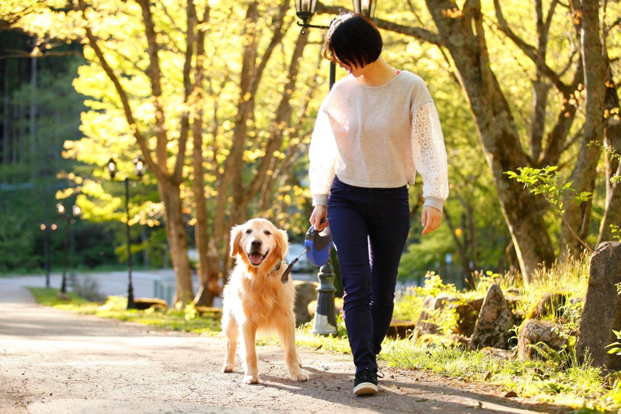Izumigo Takayama Dog Paradise Hotel Exterior foto