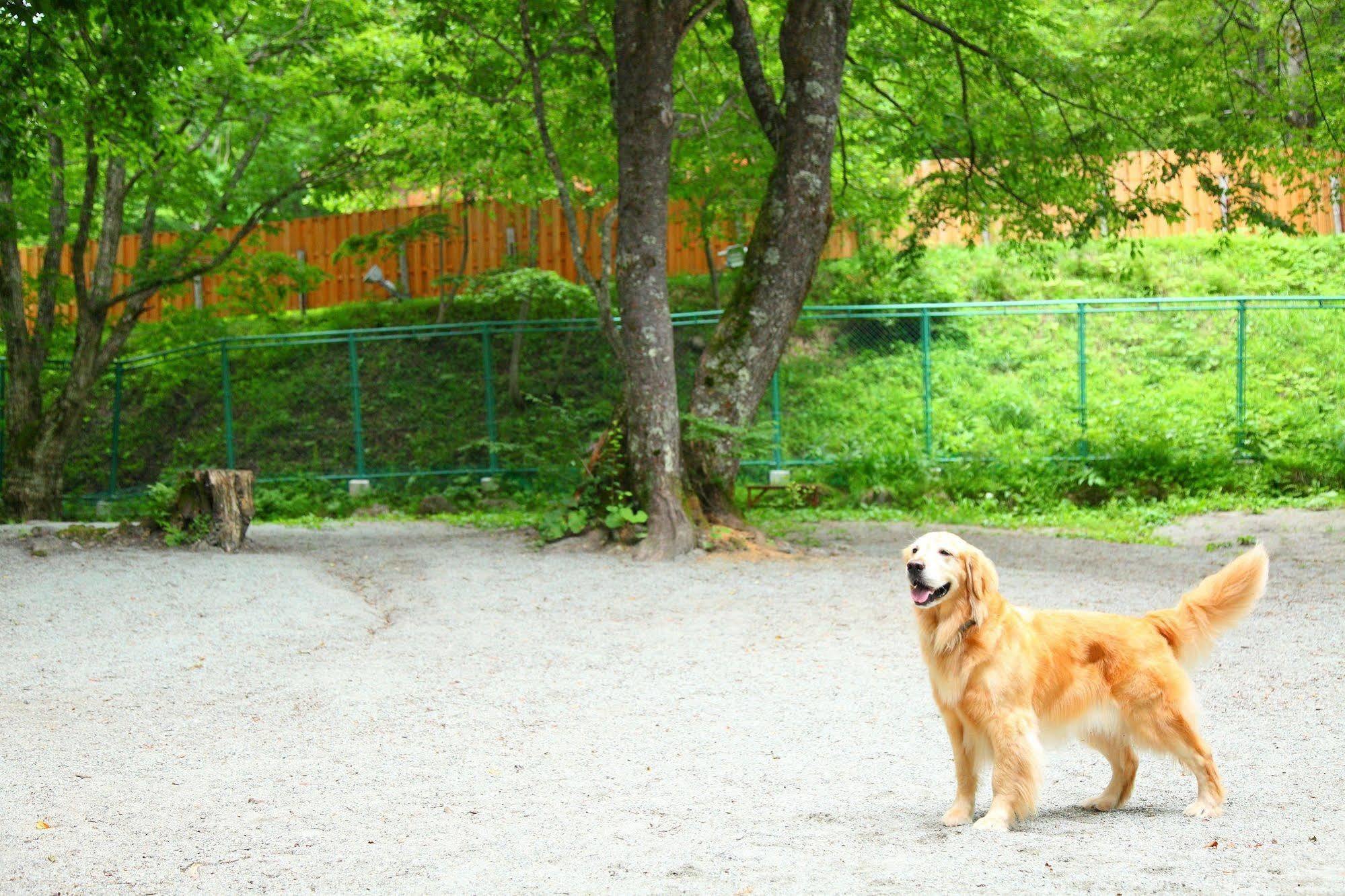 Izumigo Takayama Dog Paradise Hotel Exterior foto